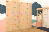 Wall Climbing Panels